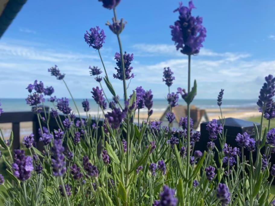 Ferienwohnung Sur La Plage / Enjoy The Beach Cabourg Exterior foto